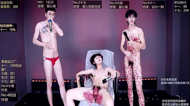 KG-6688 Webcam Show