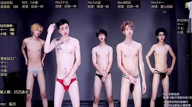 KG-6688 Webcam Show