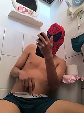 Show de Fortteam na webcam