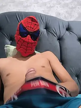 Fortteam Webcam show