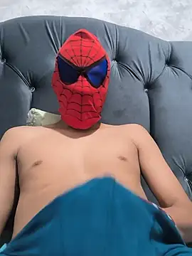 Fortteam webcam show