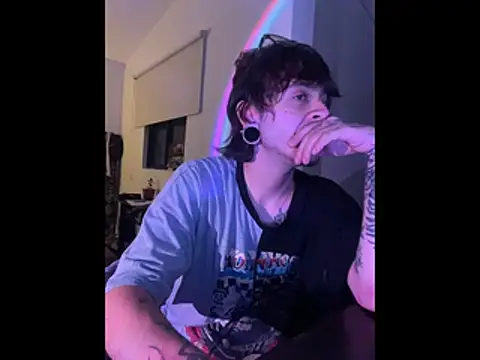 Show de pure_visio na webcam