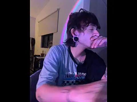 Show de webcam de pure_visio