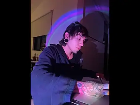 Show webcam de pure_visio