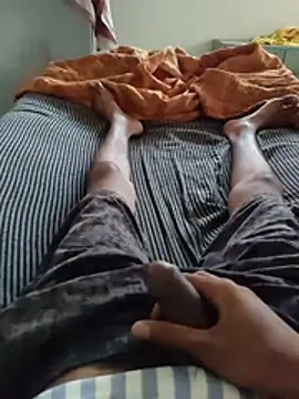 HARDLUST0n Webbikameraesitys