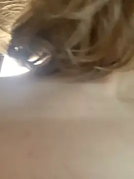SarahStanleyyy Webcam Show