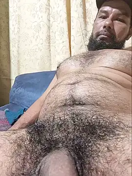 Forastero41 Webcamshow