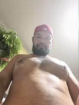 Forastero41n Webbikameraesitys