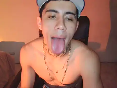 David_LongViben Webbikameraesitys