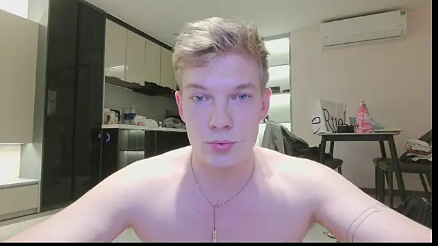 herculess_n Webbikameraesitys