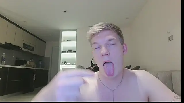 herculess_n Webbikameraesitys