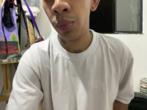 Ryan_Skyline_n Webbikameraesitys