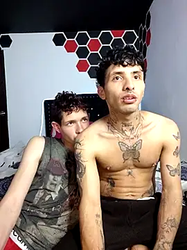 Artpol_Librion Webcamshow