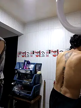 Artpol_Librion Show Webcam