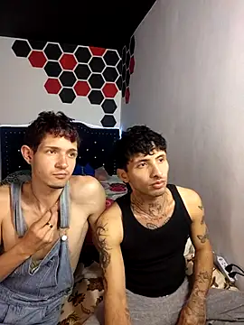 Artpol_Librion – webcam-show