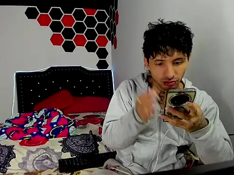 Artpol_Librion Webcam-Show