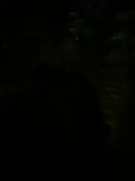 Hoa1a Show Webcam