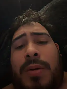 Bearboy29 Webcam Show