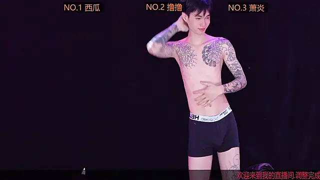 ECHO-0001 网络视讯表演