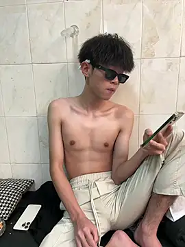 YT_11 Show Webcam