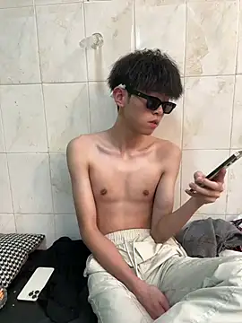 Show webcam de YT_11