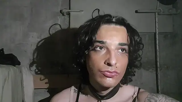 TransLexatan Webbikameraesitys
