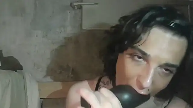 TransLexata Webcamshow