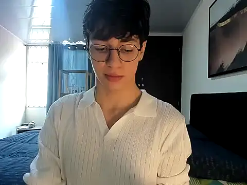 Show webcam de TheBluePrince