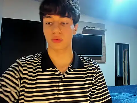 Show webcam de TheBluePrince