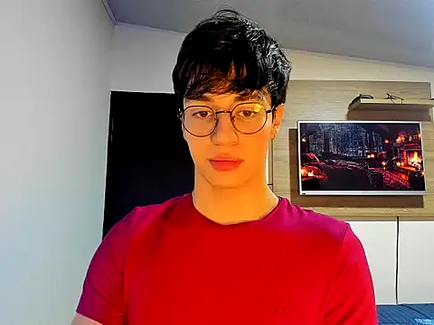TheBluePrince Webcam show