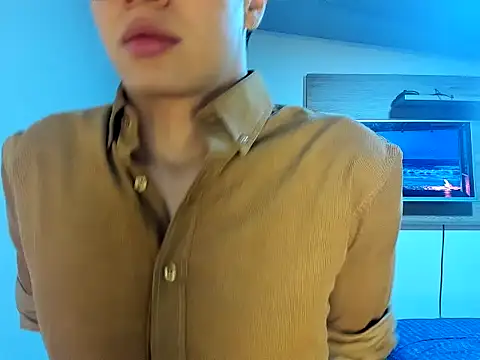 Show webcam de TheBluePrince