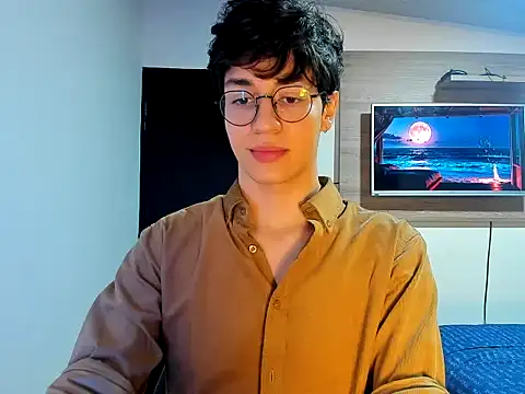 Show webcam de TheBluePrince