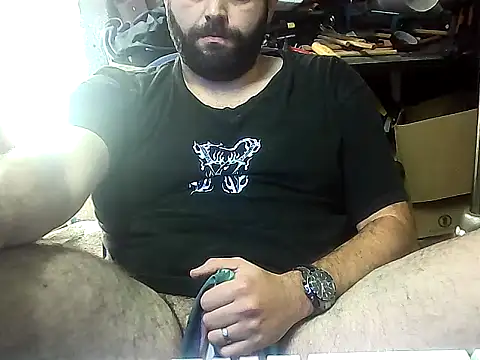 Show Webcam de forstoon