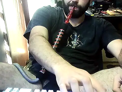 Show Webcam de forstoon