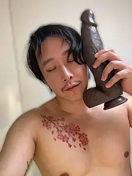Show modela jin-sakura na web-kameri