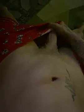 BigdIHBR webcam show