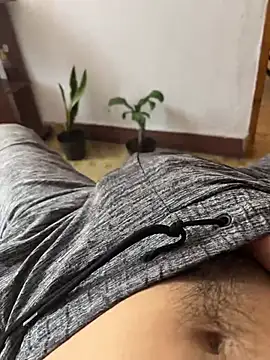 AlessioFox's Webcam Show