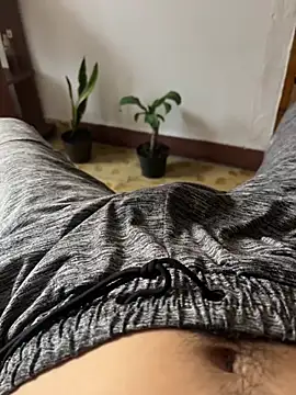 AlessioFox's Webcam Show