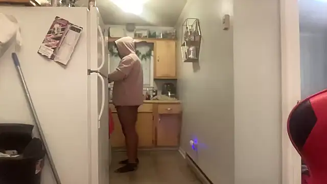 הופעת וובקאם של THEFOXESDEN3