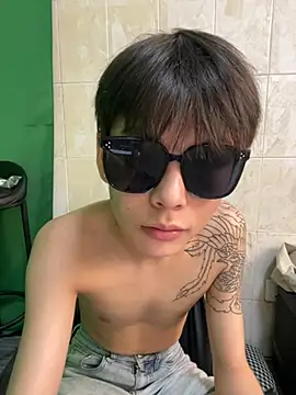 DDD_17 Show Webcam