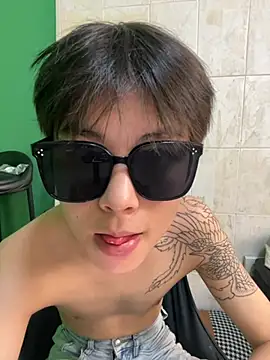 DDD_17 Show Webcam