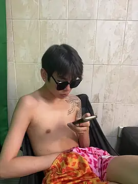 DDD_17 Show Webcam