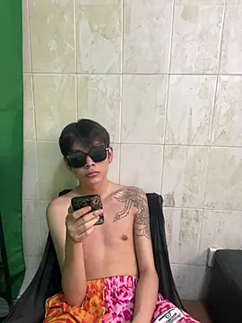 DDD_17 Show in webcam
