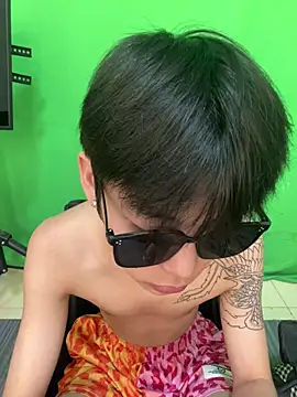 DDD_17n Webbikameraesitys