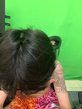 DDD_17 Show Webcam