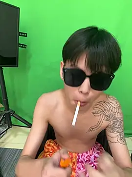 DDD_17n Webbikameraesitys