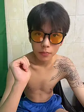 DDD_17 Show in webcam