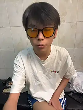 DDD_17 Webcam show