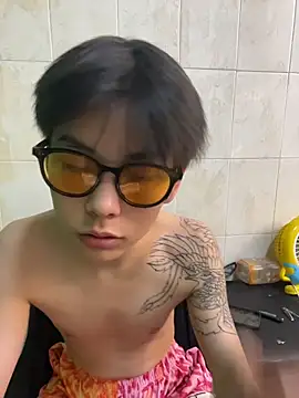 DDD_17 Show Webcam