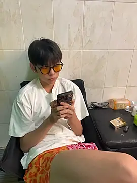 DDD_17 Show Webcam